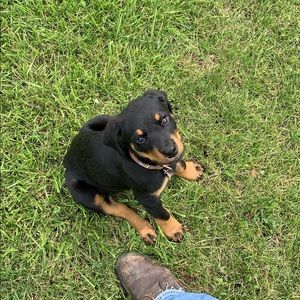 Meet your Posher, Tyler